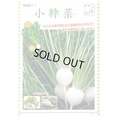 画像3: 送料無料　[かぶ]　小粋菜　3ml　タキイ種苗(株)