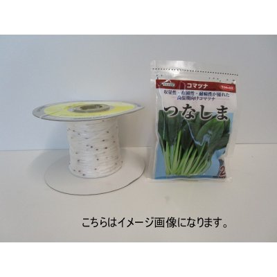 画像1: [シーダー種子]　小松菜　つなしま　1粒×5cm間隔