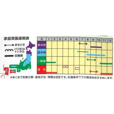 画像2: 送料無料　[大根]　もみじスティック　1.5ml(約90粒)ナント種苗(株)