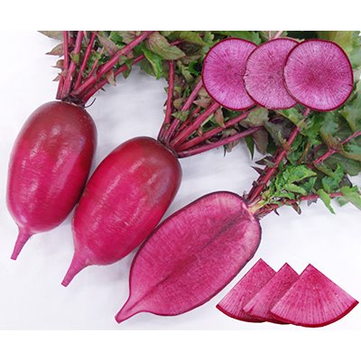 画像3: 送料無料　[大根]　もみじスティック　1.5ml(約90粒)ナント種苗(株)
