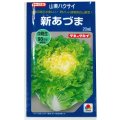 送料無料　[白菜]　新あづま　20ml　タキイ種苗(株)