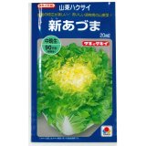 送料無料　[白菜]　新あづま　20ml　タキイ種苗(株)