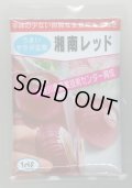 送料無料　[たまねぎ]　湘南レッド　1dl　(株)サカタのタネ