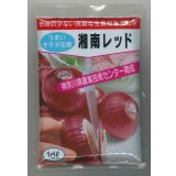 送料無料　[たまねぎ]　湘南レッド　1dl　(株)サカタのタネ