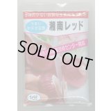 送料無料　[たまねぎ]　湘南レッド　1dl　(株)サカタのタネ