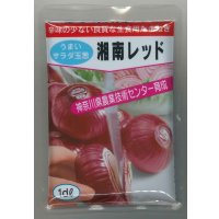 送料無料　[たまねぎ]　湘南レッド　1dl　(株)サカタのタネ
