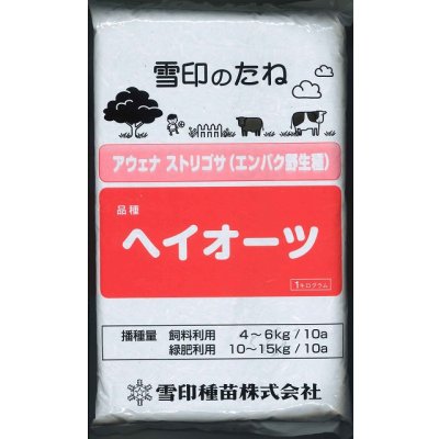 画像1: [緑肥]　エンバク　ヘイオーツ　1kg　雪印種苗(株)