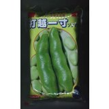 [そら豆]　打越一寸　1L(およそ220粒)(株)サカタのタネ