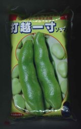 [そら豆]　打越一寸　1L(およそ220粒)(株)サカタのタネ