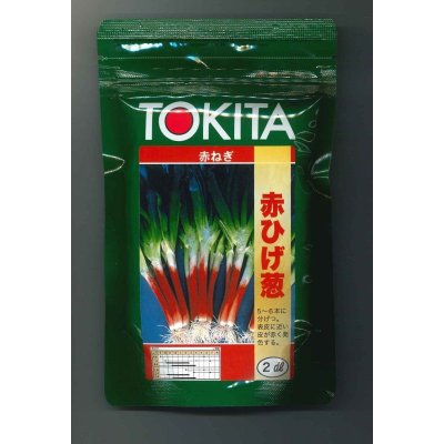 画像1: 送料無料　[ねぎ]　赤ひげ　2dl　トキタ種苗(株)