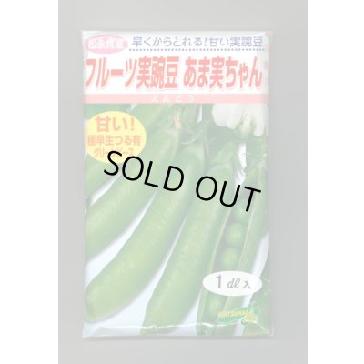 画像1: 送料無料　[えんどう]　フルーツ実豌豆　あま実ちゃん　1dl　松永種苗(株)