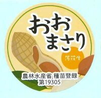 送料無料！青果シール　落花生　おおまさり　　1000枚