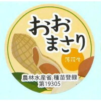 画像1: 送料無料！青果シール　落花生　おおまさり　　1000枚