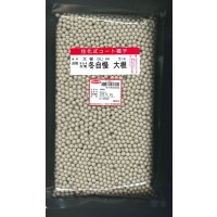 大根　冬自慢　ペレット5000粒　(株)サカタのタネ