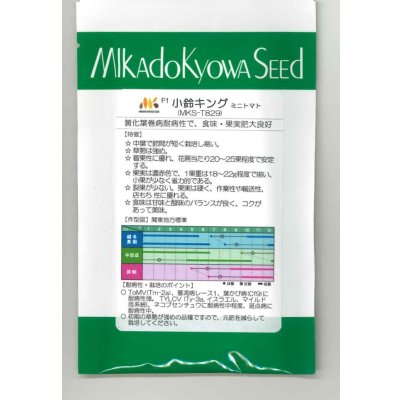 画像1: 送料無料　[トマト/ミニトマト]　ミニトマト　小鈴キング　1000粒　ヴィルモランみかど（株）
