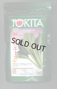 送料無料　[小松菜]　秋冬のエース　2dl　トキタ種苗(株)