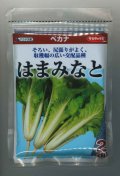 送料無料　[葉物]　はまみなとべかな　2dl　(株)サカタのタネ