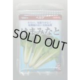 送料無料　[葉物]　はまみなとべかな　2dl　(株)サカタのタネ