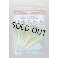 送料無料　[葉物]　はまみなとべかな　2dl　(株)サカタのタネ