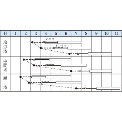 画像2: [キュウリ]　つや太郎　15粒　タキイ種苗（株）　DF　