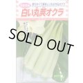 送料無料　[オクラ]　白い丸莢オクラ　70粒　松永種苗(株)
