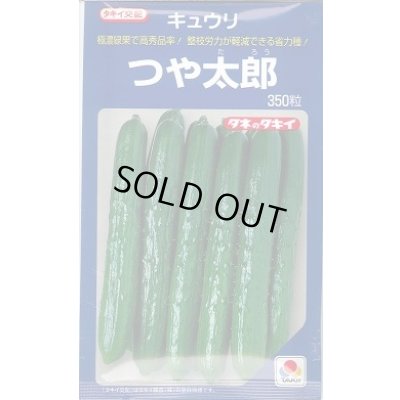 画像1: [キュウリ] つや太郎 350粒 タキイ種苗(株)