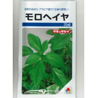 [葉物]　モロヘイヤ　20ml　タキイ種苗（株）