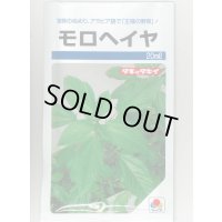 モロヘイヤ 20ml タキイ種苗(株)