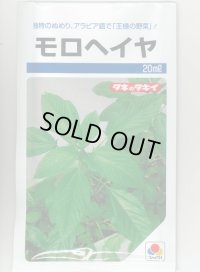 モロヘイヤ 20ml タキイ種苗(株)