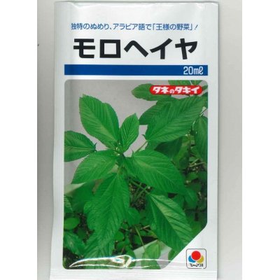 画像1: [葉物]　モロヘイヤ　20ml　タキイ種苗（株）