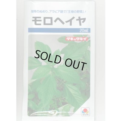 画像1: 送料無料　モロヘイヤ　20ml　タキイ種苗(株)