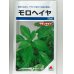 画像1: [葉物]　モロヘイヤ　20ml　タキイ種苗（株） (1)