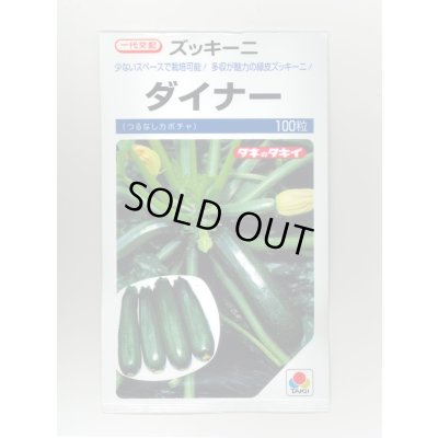 画像1: 送料無料　[ズッキーニ]　ダイナー　100粒　タキイ種苗(株)