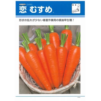 画像2: [人参]　恋むすめ　　コート1万粒　タキイ種苗（株）