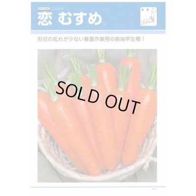 画像2: 送料無料 [人参] 恋むすめ 500粒 タキイ種苗(株)