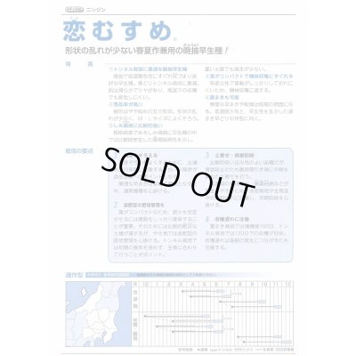 画像3: 送料無料 [人参] 恋むすめ 500粒 タキイ種苗(株)