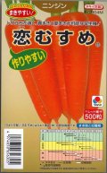 送料無料　[人参]　恋むすめ　500粒　タキイ種苗(株)