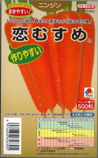 [人参]　恋むすめ　　500粒　タキイ種苗（株）