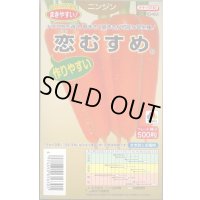 送料無料 [人参] 恋むすめ 500粒 タキイ種苗(株)