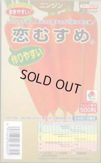 送料無料 [人参] 恋むすめ 500粒 タキイ種苗(株)