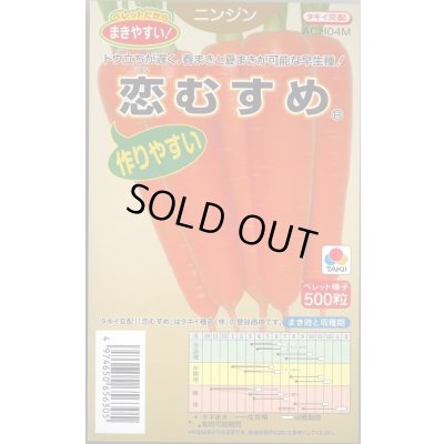 画像1: 送料無料 [人参] 恋むすめ 500粒 タキイ種苗(株)