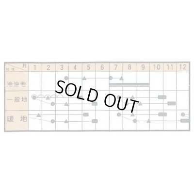 画像4: 送料無料　ブロッコリー　令麟　コート5000粒　トキタ種苗(株)