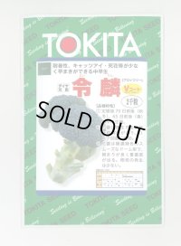 送料無料　ブロッコリー　令麟　2000粒　トキタ種苗(株)