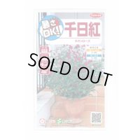 送料無料　花の種　千日紅　ネオンローズ　約50粒　(株)サカタのタネ　実咲350（026117）