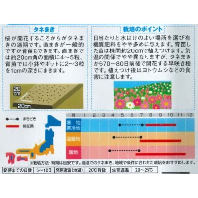 画像2: 花の種　景観用コスモス　センセーションミックス　  サカタのタネ（株）　実咲350