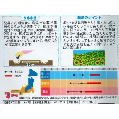 画像2: 花の種　ひまわり　ビューティフルサン　約７平米用　 サカタのタネ（株）実咲350