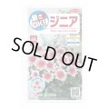 送料無料　花の種　ジニア　プロフュージョン　チェリーバイカラー　約10粒　(株)サカタのタネ　実咲250（026281）