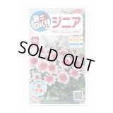 送料無料　花の種　ジニア　プロフュージョン　チェリーバイカラー　約10粒　(株)サカタのタネ　実咲250（026281）