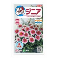 花の種　ジニア　プロフュージョン　チェリーバイカラー　約10粒　サカタのタネ（株）実咲250