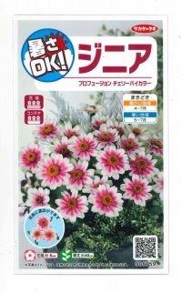 花の種　ジニア　プロフュージョン　チェリーバイカラー　約10粒　サカタのタネ（株）実咲250